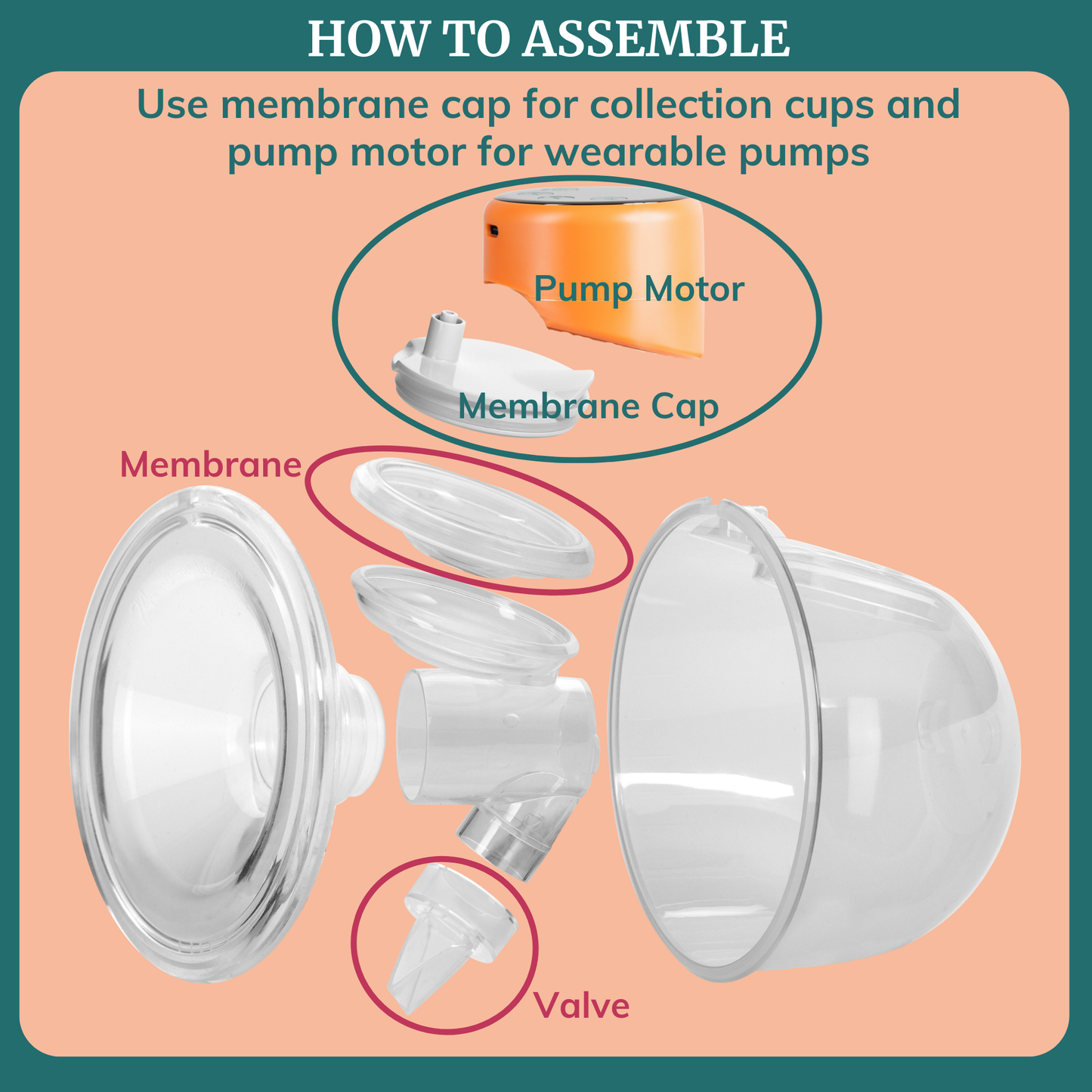 Breast Pump Membranes & Valves for Wearables