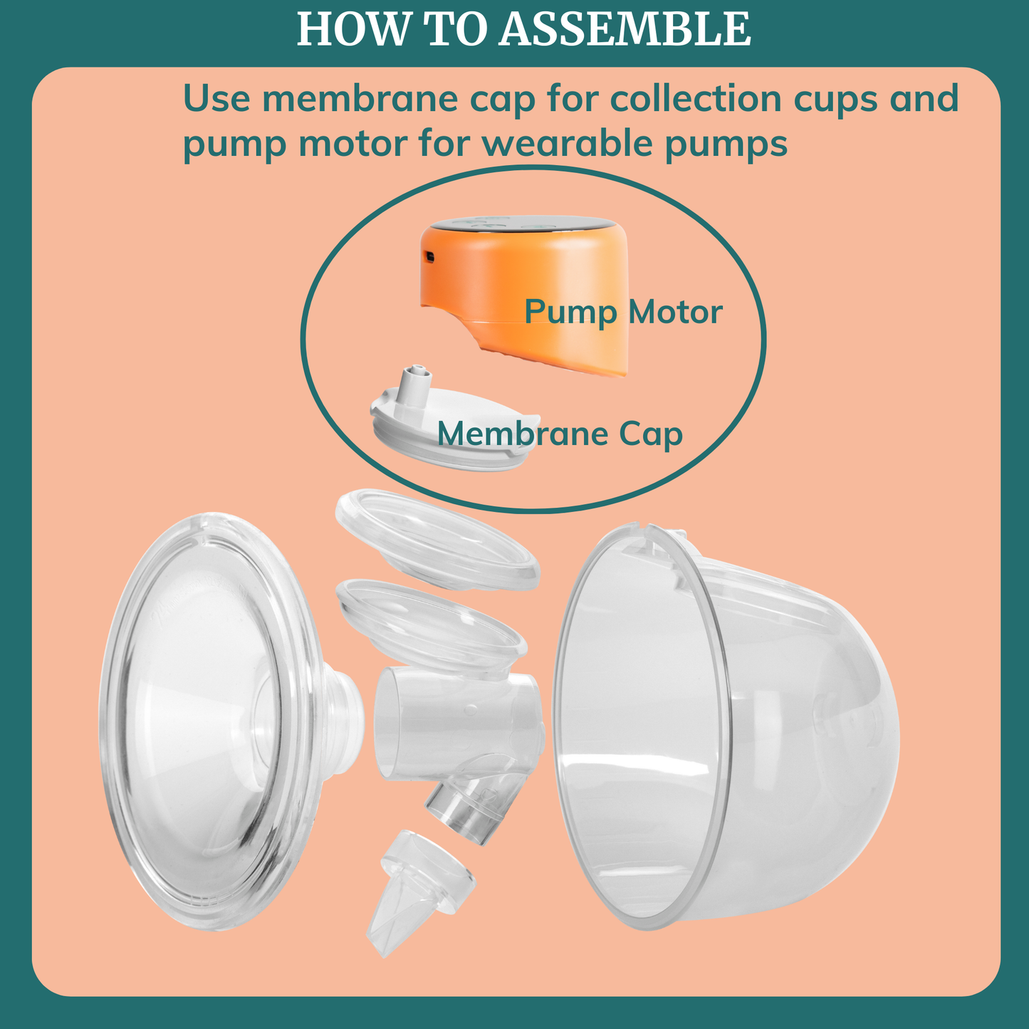 Wearable Breast Pump Flange